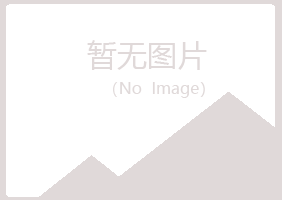 阜阳夏岚采矿有限公司